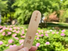 -洛阳市隋唐城遗址植物园