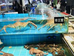 -先锋海鲜市场