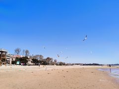 -老虎石海上公园