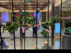 -星河湾温泉洗浴酒店