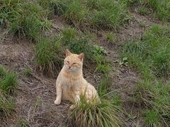 -萍乡武功山风景名胜区