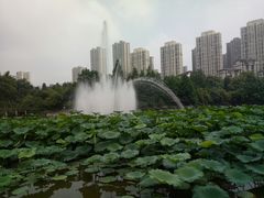 -龙头寺公园