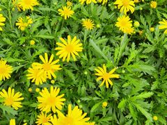 -中国天府农业博览园