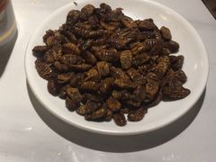 -东北烤肉(钟鼎名悦店)
