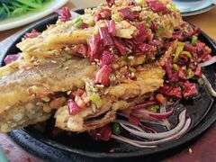 -鹤乡东北菜(崮山路店)