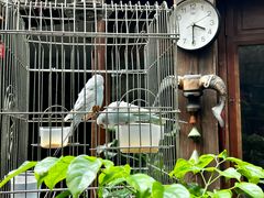 -束河人家(南锣鼓巷店)