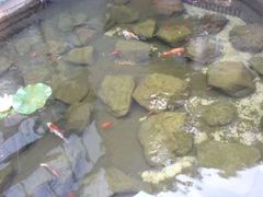 -泉乐坊步行街(烟酒特产平价超市店)