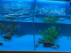 -怡咖啡·自助餐·西安香格里拉
