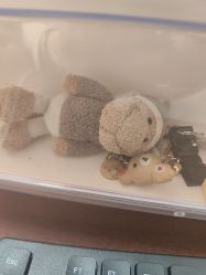 -哈姆雷斯(王府井百货大楼店)