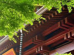 -香积寺
