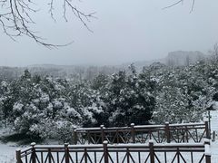 -钟山体育运动公园
