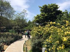 -郑州植物园