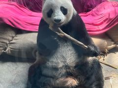 -石家庄市动物园