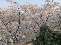 -苏州上方山国家森林公园