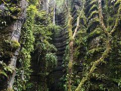 -梭布垭石林景区