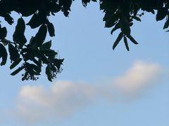 -深圳龙潭公园
