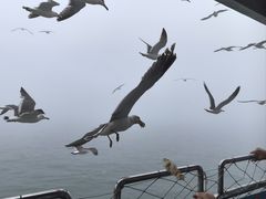 -海驴岛(荣成市)