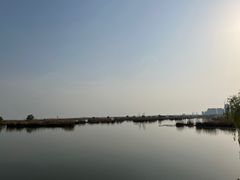 -合肥滨湖国家森林公园