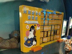 -烟台海昌鲸鲨海洋公园