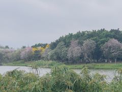 -海珠湖公园