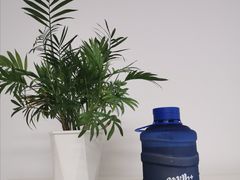 网红水桶泰奶-milkplus·泰式奶茶(较场东路店)