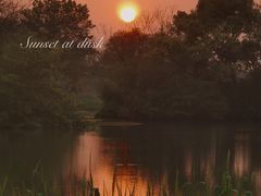 -西溪国家湿地公园