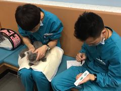 -联合动物医院(光谷诊疗中心)