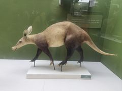 -国家自然博物馆