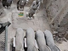 -秦始皇帝陵博物院(兵马俑)