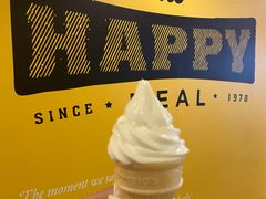 -麦当劳(廊坊新华路店)