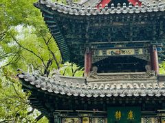 -迎泽公园