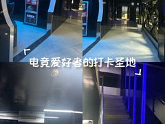 -绿树电竞(五路店)