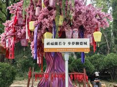-淄博聊斋城景区
