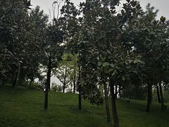 -西安曲江寒窑遗址公园