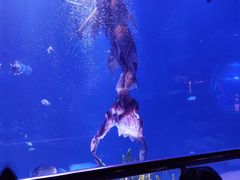 -太平洋海底世界