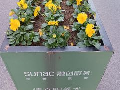 -螃蟹岬(地铁站)