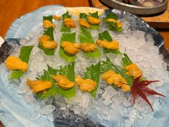 -月龍吟(朝龙汇店)