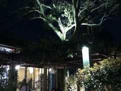 -旅马餐厅(茅家埠店)