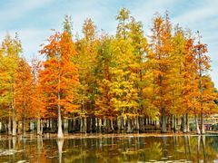 -白鹭湾湿地公园