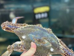 -渔中舟海鲜大排档(普陀沈家门店)