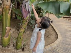 -北戴河集发农业梦想王国