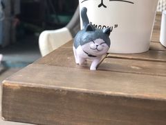 -喵屿·大理花园猫咖