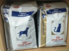 -嘉美宠物医院