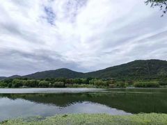 -长广溪湿地公园