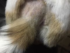 -畜牧兽医站(共江路店)