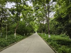 -泸州老窖景区