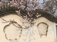 -北京鹫峰国家森林公园