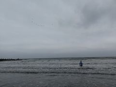 -盐洲岛