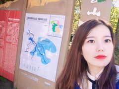 -洛阳白云山景区