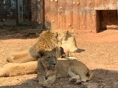 -昆明动物园